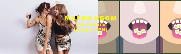 стафф Осинники