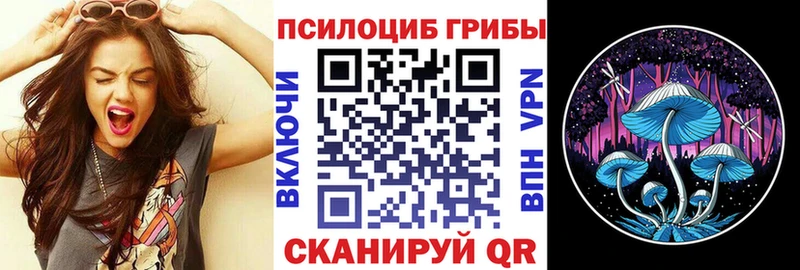 что такое   Туймазы  Галлюциногенные грибы Cubensis 