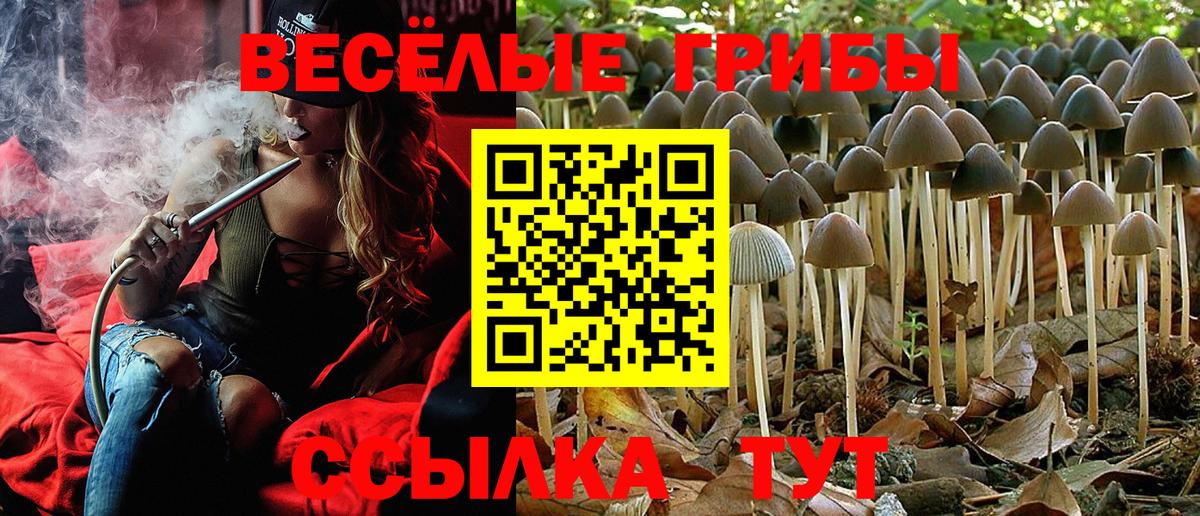 Псилоцибиновые грибы MAGIC MUSHROOMS Туймазы