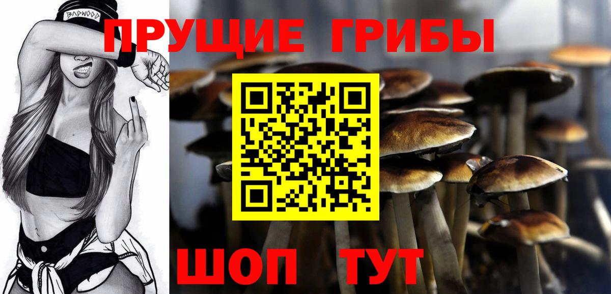Туймазы  Галлюциногенные грибы мицелий  Вход с VPN  Галлюциногенные грибы Magic Shrooms 